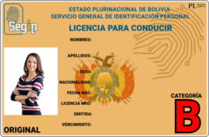 Categoría Profesional "B"