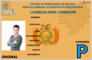 Categoría Particular "P"