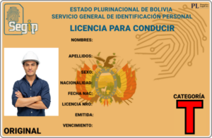 Categoría Maquinaria Pesada Profesional "T"
